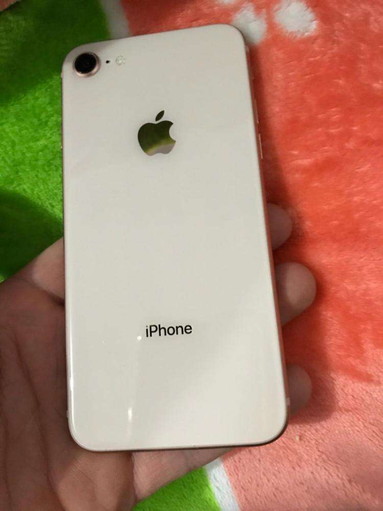 国行在保iphone864G 国行在保iphone864G